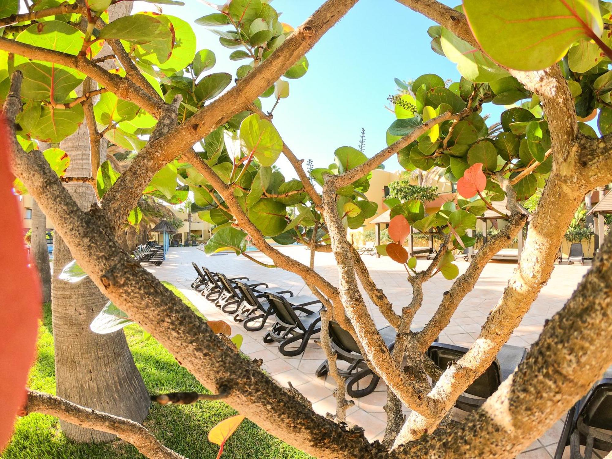 Drago 1 Atlantic Garden Apartment Corralejo Kültér fotó