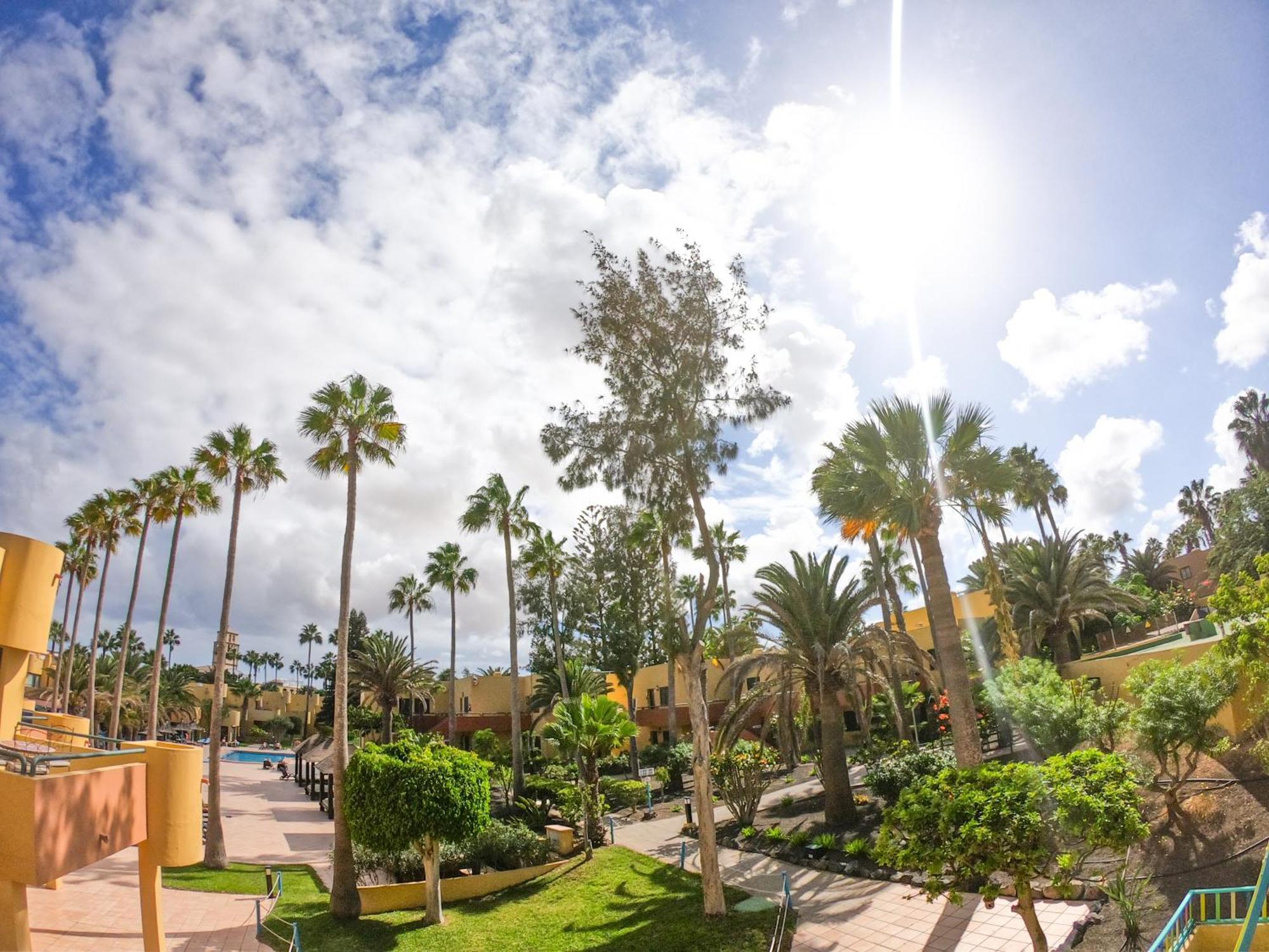 Drago 1 Atlantic Garden Apartment Corralejo Kültér fotó